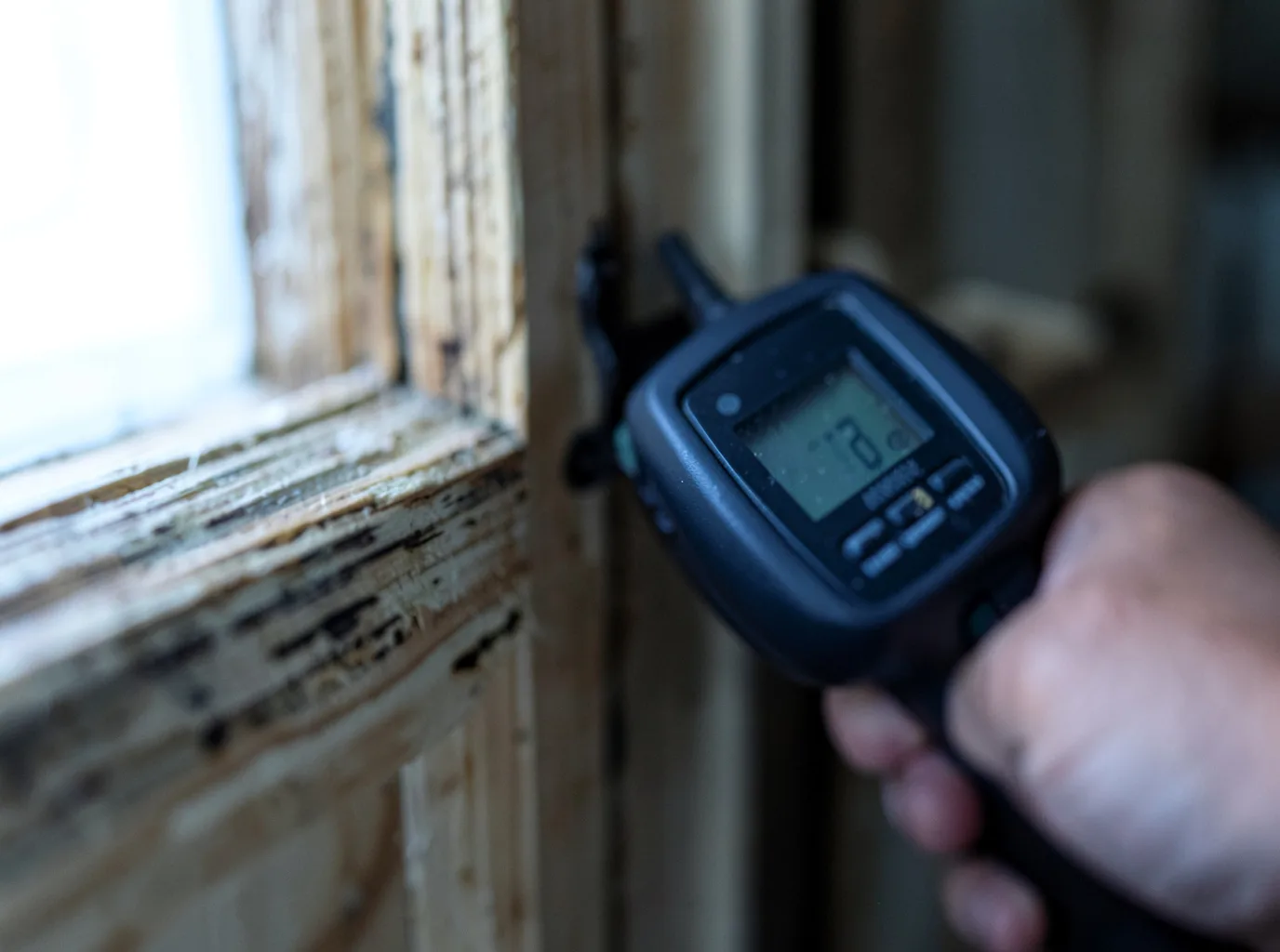 Commercial Water Damage Restoration in Edroy, TX